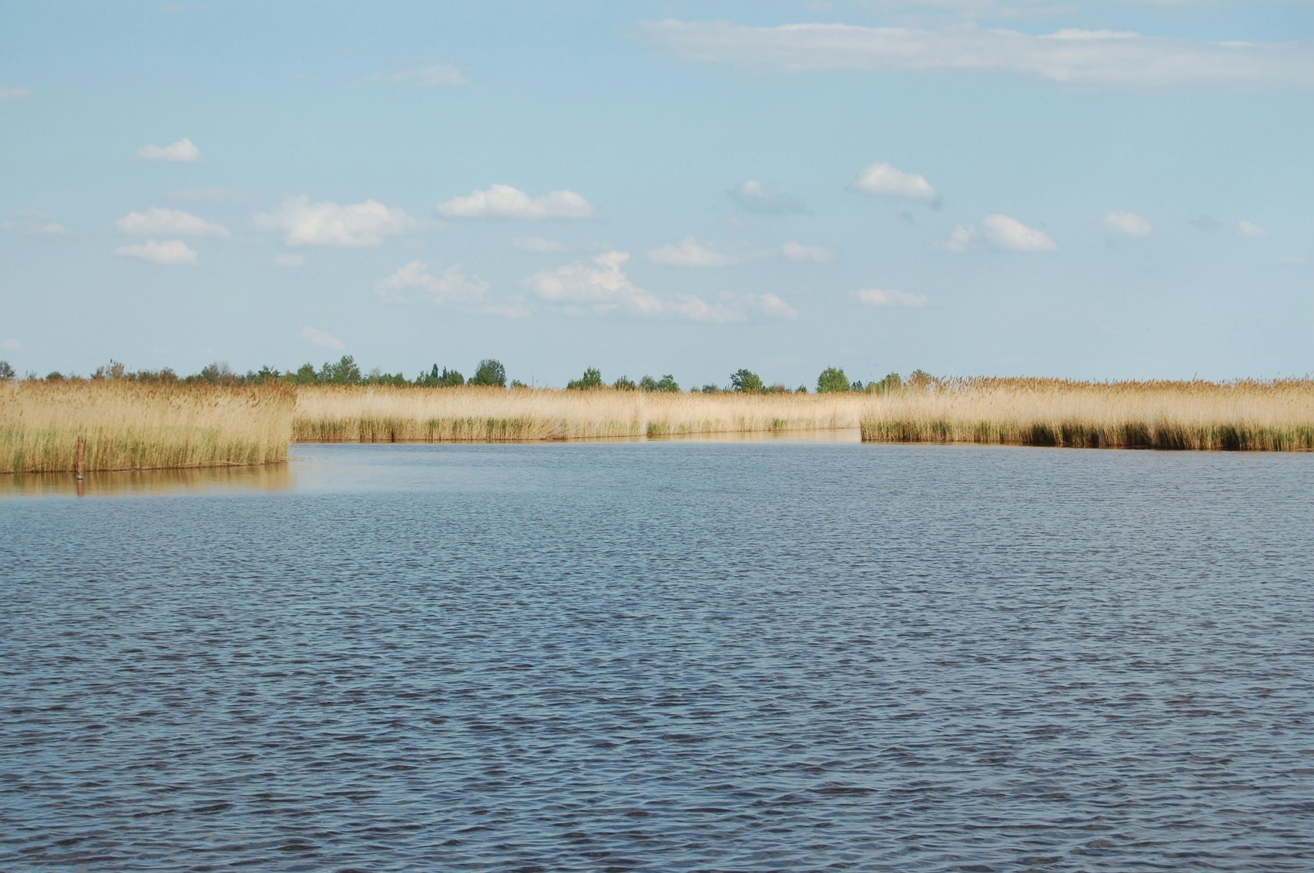 Nežidersko jezero